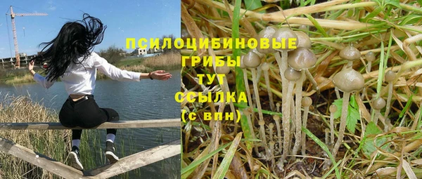гашик Гусиноозёрск
