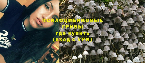 мескалин Осташков