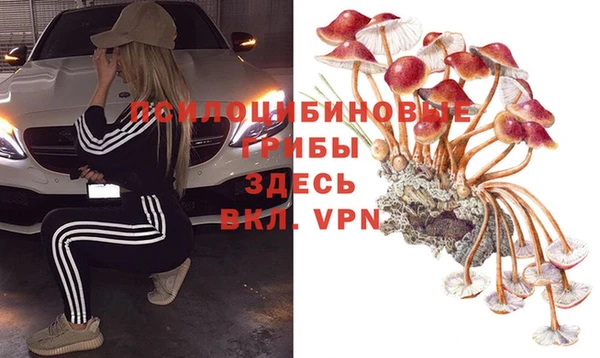 мескалин Осташков