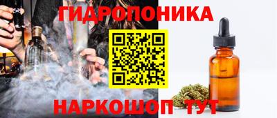 a pvp Гусь-Хрустальный