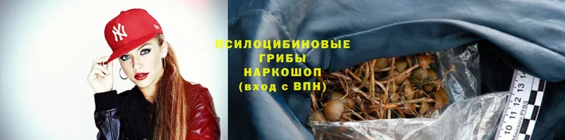 Галлюциногенные грибы Psilocybe  продажа наркотиков  omg ссылка  Печора 